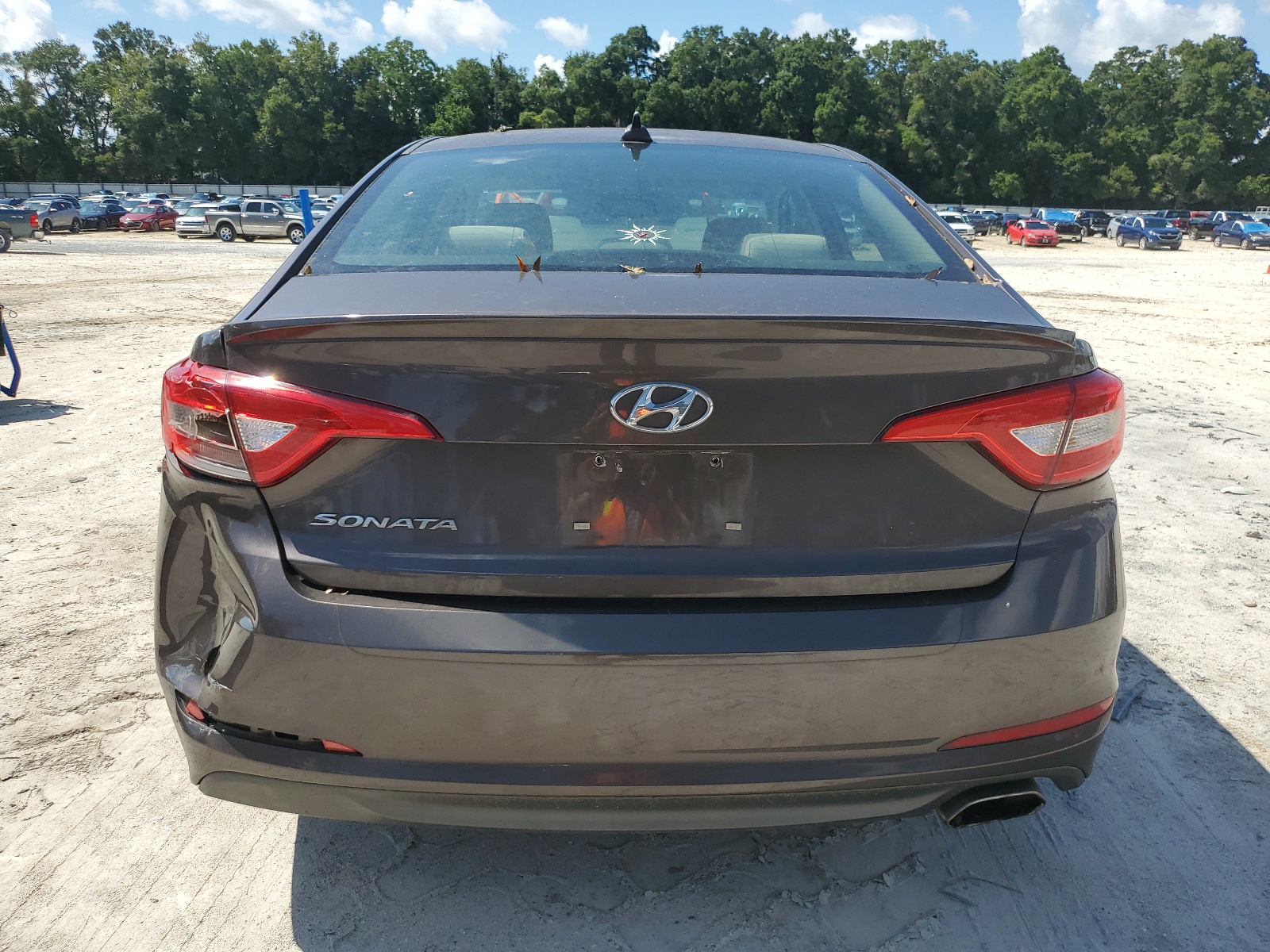 5NPE24AF0GH299724 2016 Hyundai Sonata Se