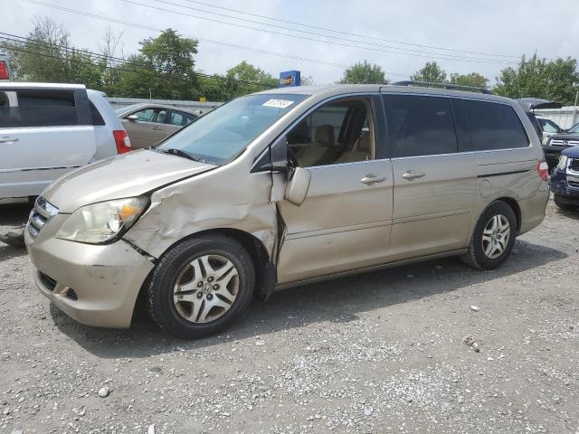 2005 Honda Odyssey Ex за продажба в Walton, KY - Front End