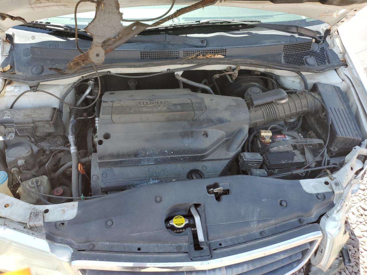 2004 Honda Odyssey Ex VIN: 5FNRL18694B078054 Lot: 68547804