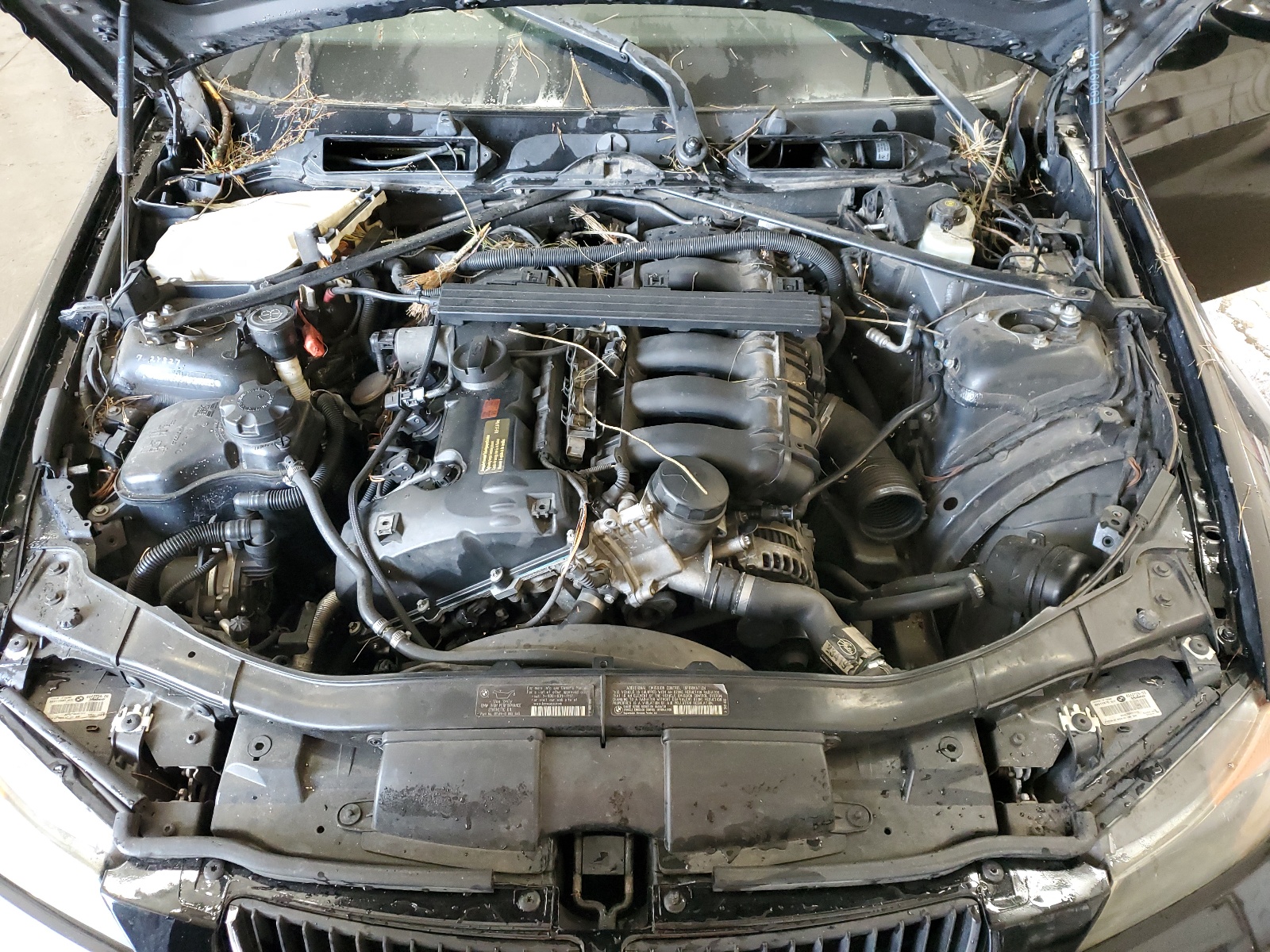 WBAVC53548A246893 2008 BMW 328 I Sulev