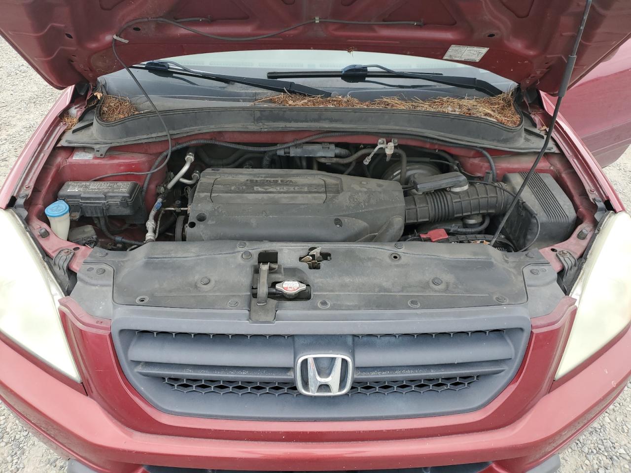 2004 Honda Pilot Exl VIN: 2HKYF18604H612823 Lot: 66645924