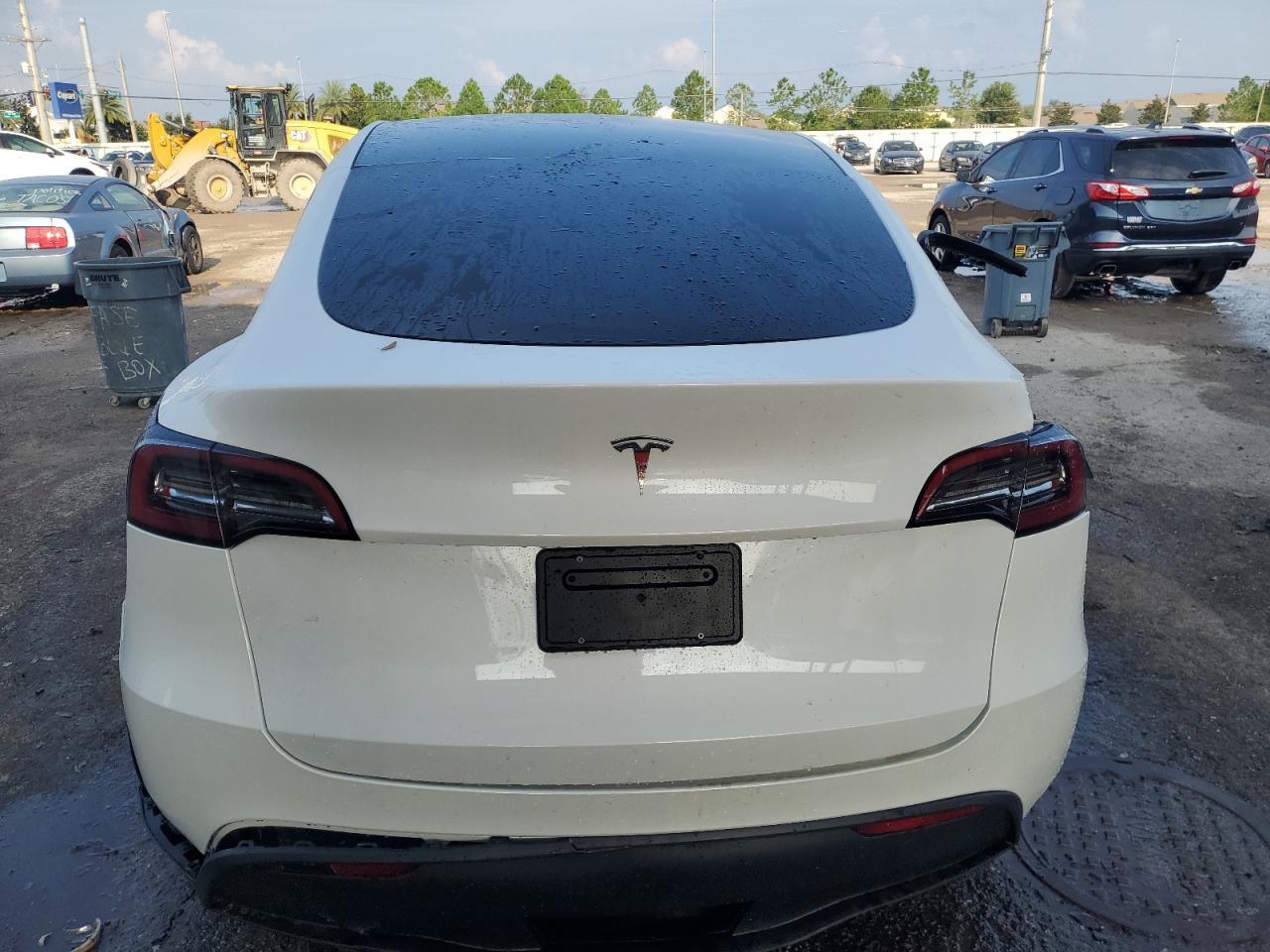 2024 Tesla Model Y VIN: 7SAYGDED7RF131879 Lot: 66181924