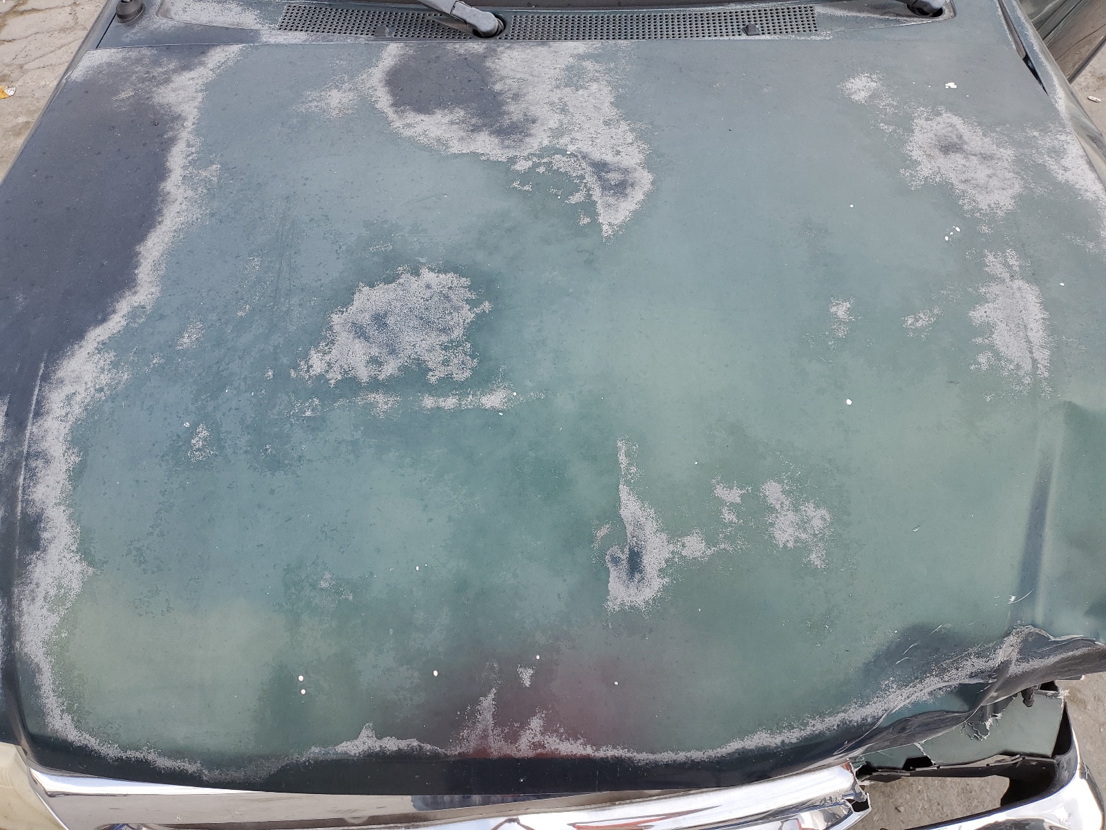 1FTYR10C0WUA46230 1998 Ford Ranger