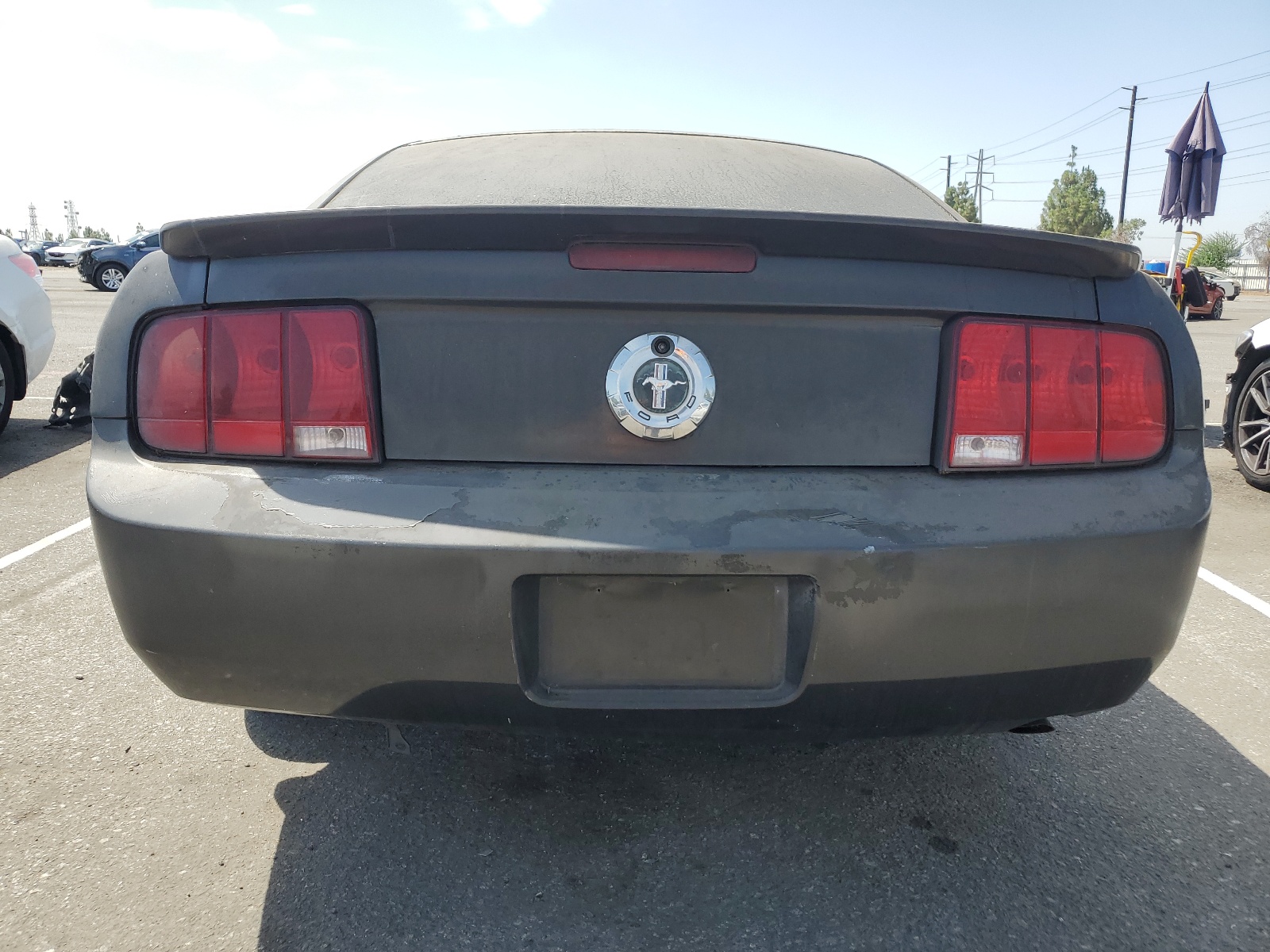 1ZVFT80N175281831 2007 Ford Mustang