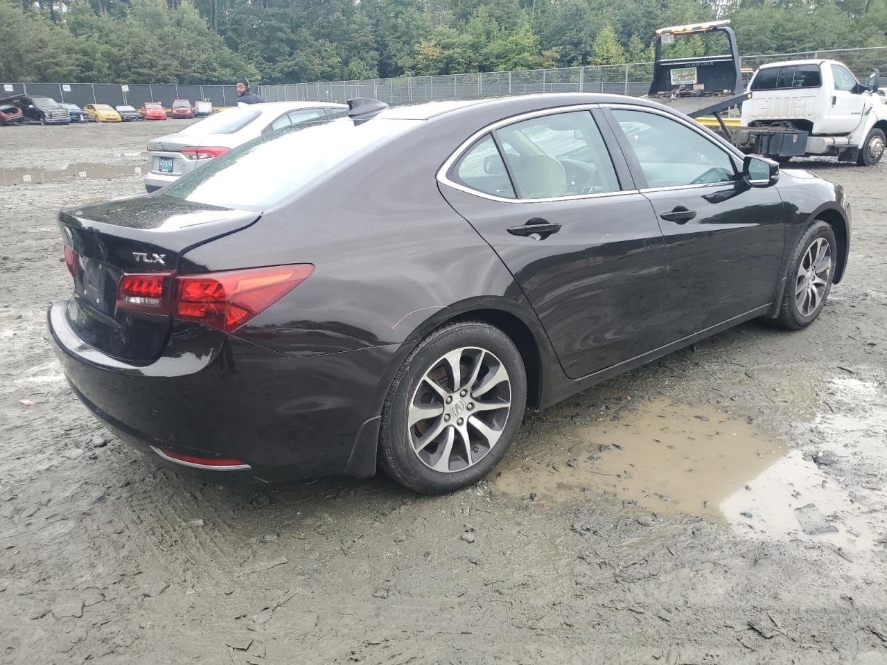 2016 Acura Tlx VIN: 19UUB1F3XGA010303 Lot: 65952064