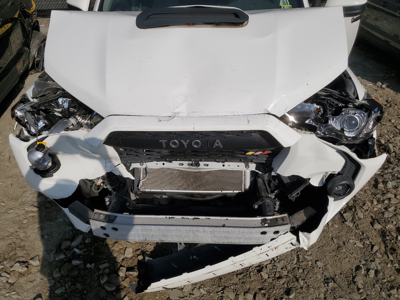 JTEBU5JR2K5684137 2019 Toyota 4Runner Sr5