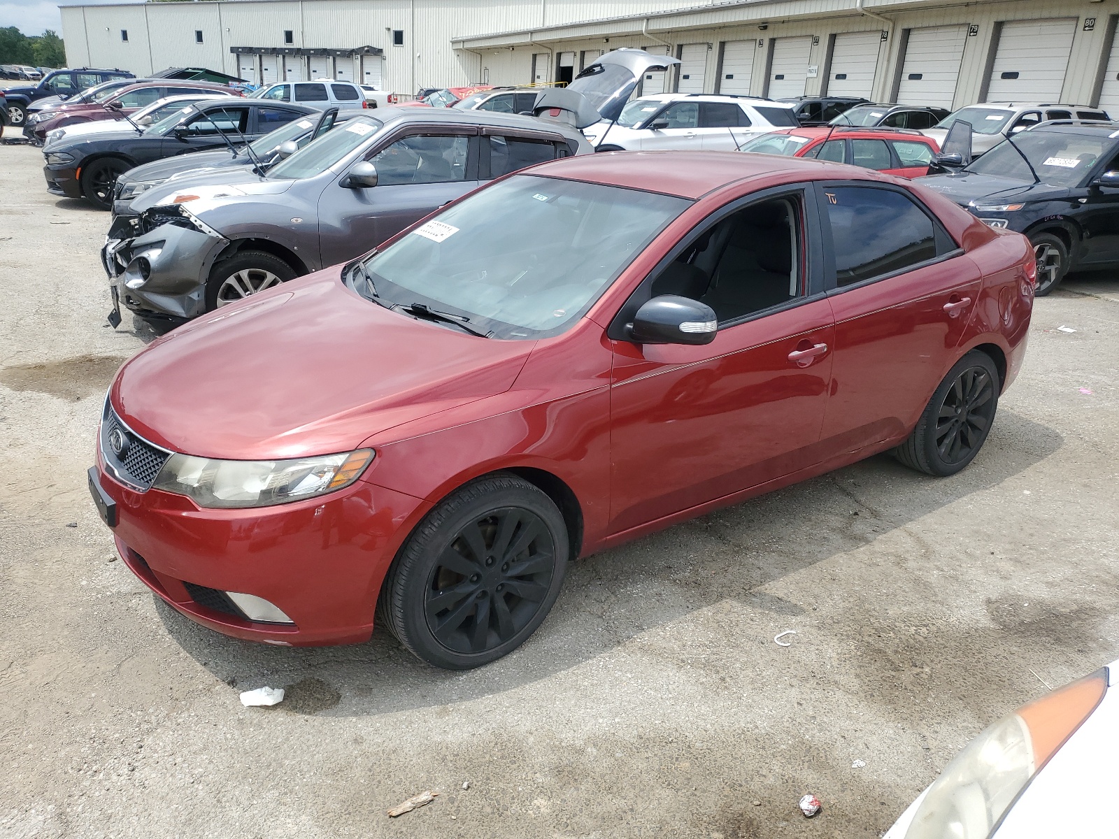 KNAFW4A33A5049218 2010 Kia Forte Sx