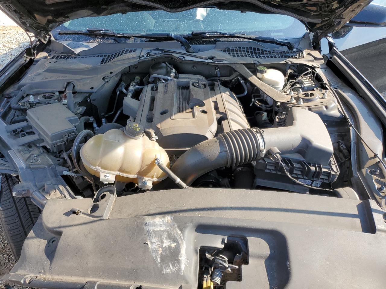 2015 Ford Mustang VIN: 1FA6P8TH0F5384837 Lot: 67904154