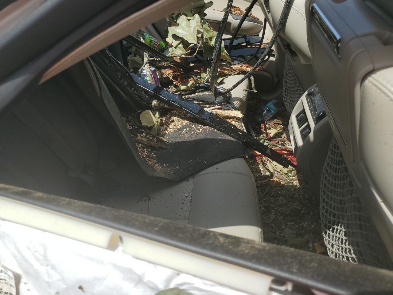 2012 Cadillac Srx Premium Collection VIN: 3GYFNCE3XCS561233 Lot: 65685254