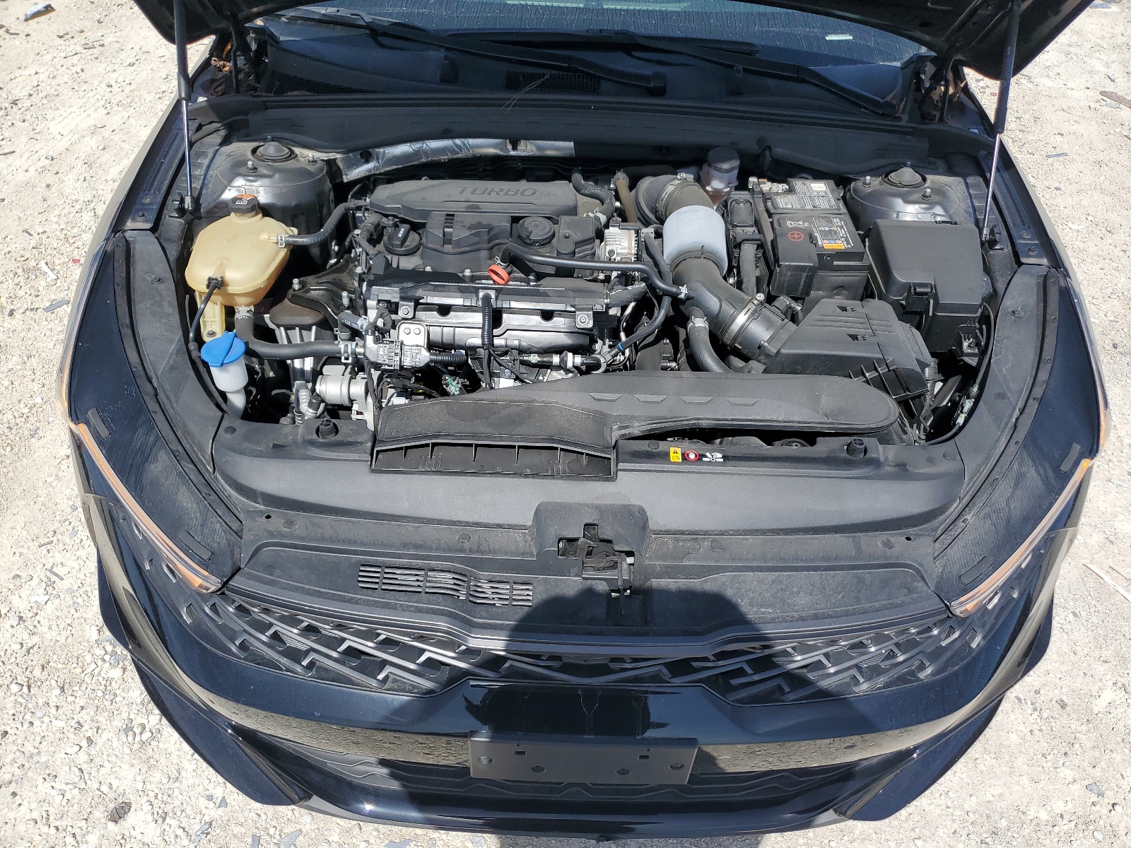 5XXG64J21NG102725 2022 Kia K5 Gt Line