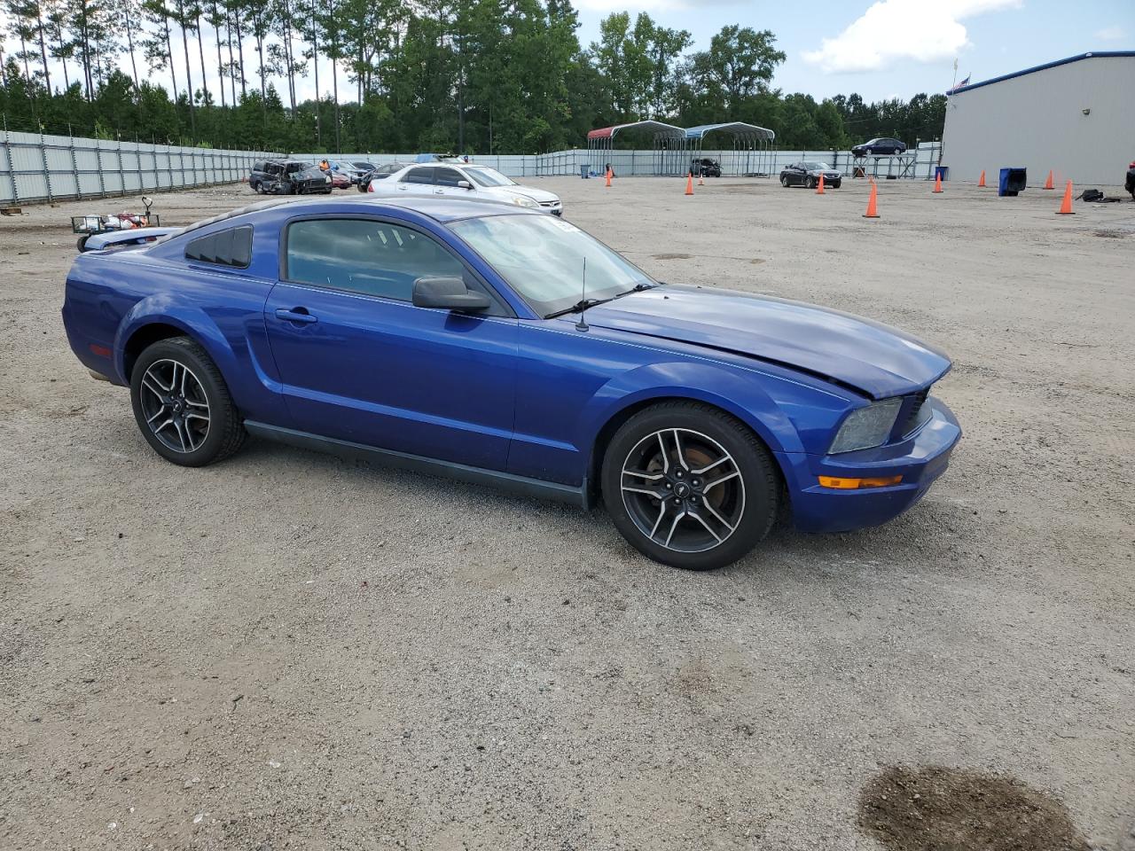 2005 Ford Mustang VIN: 1ZVFT80N455144721 Lot: 66860404