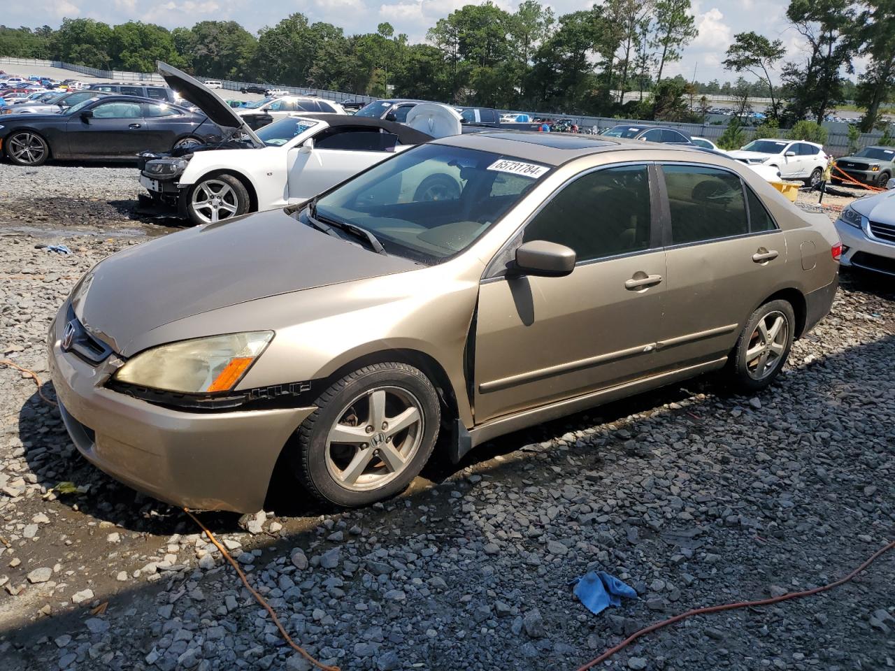 2003 Honda Accord Ex VIN: JHMCM56683C049331 Lot: 65731784