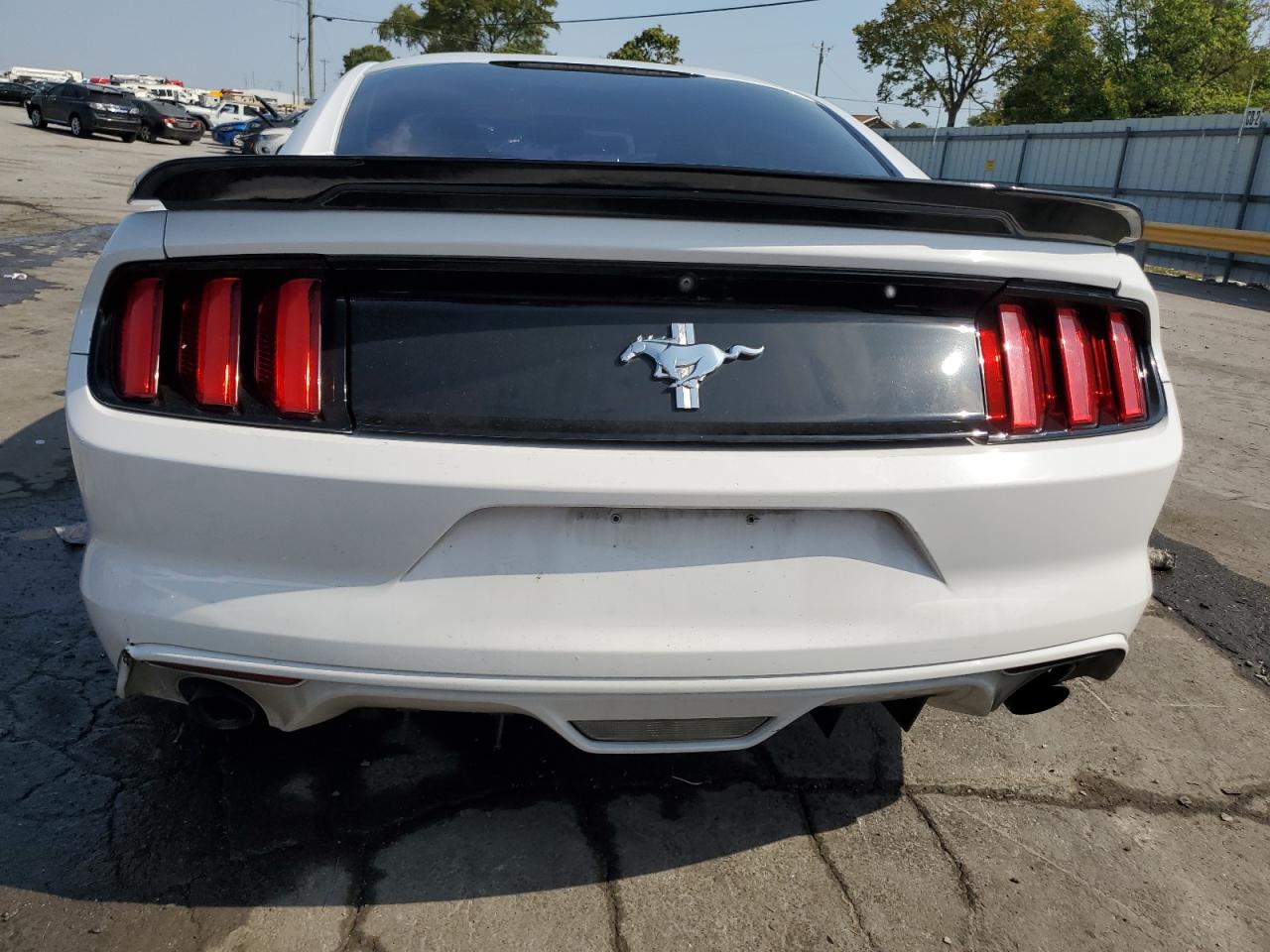 1FA6P8AMXH5277071 2017 Ford Mustang