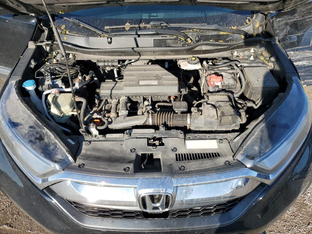 2019 Honda Cr-V Touring VIN: 2HKRW2H94KH107241 Lot: 66076444