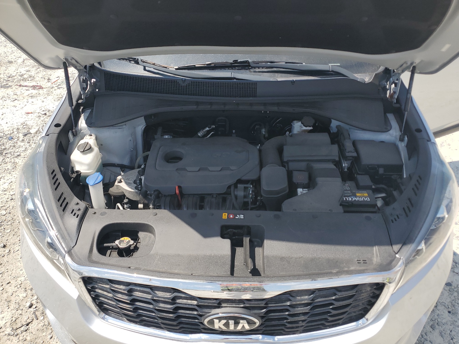 5XYPG4A37KG573565 2019 Kia Sorento L