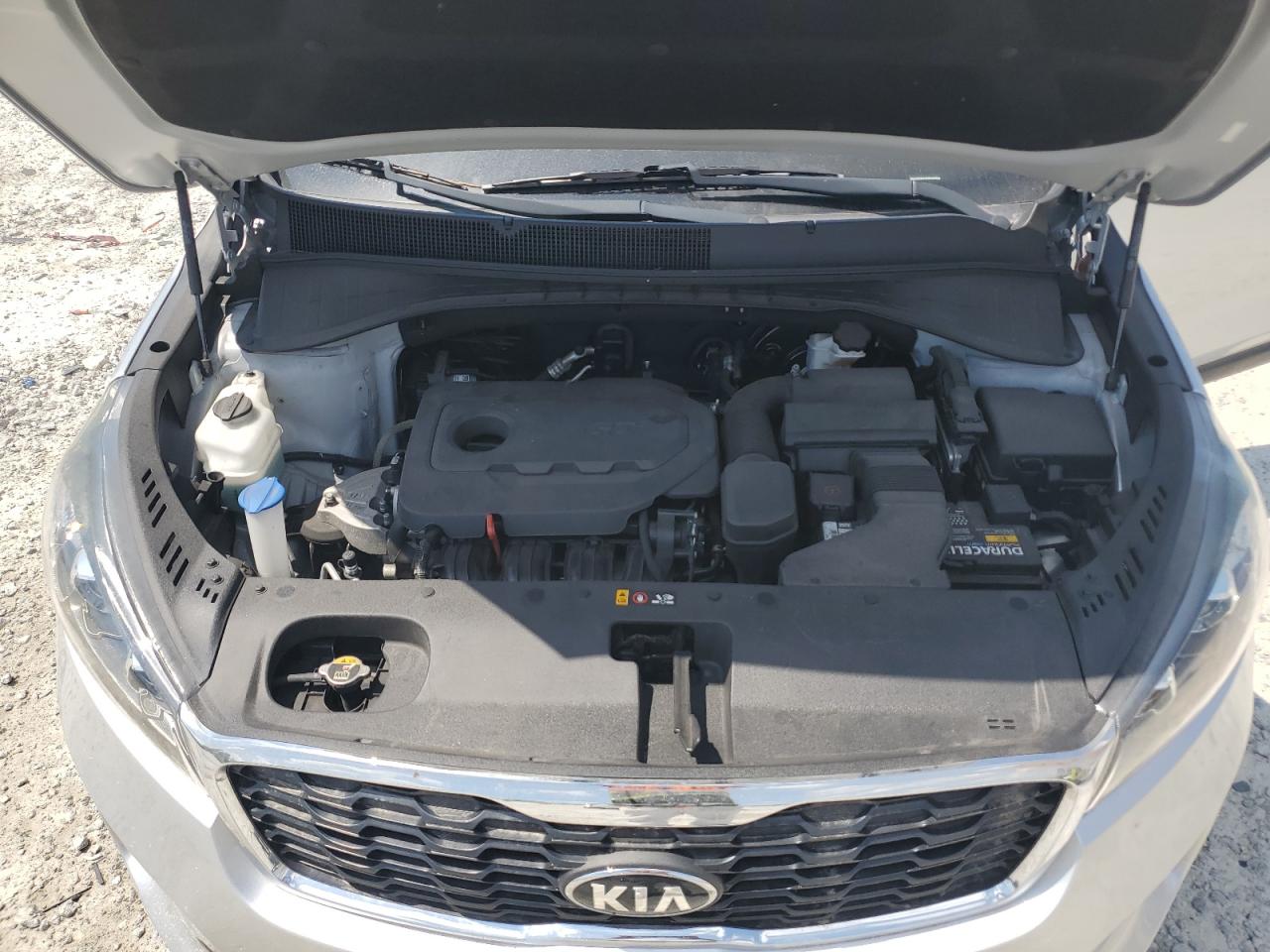 2019 Kia Sorento L VIN: 5XYPG4A37KG573565 Lot: 66865974