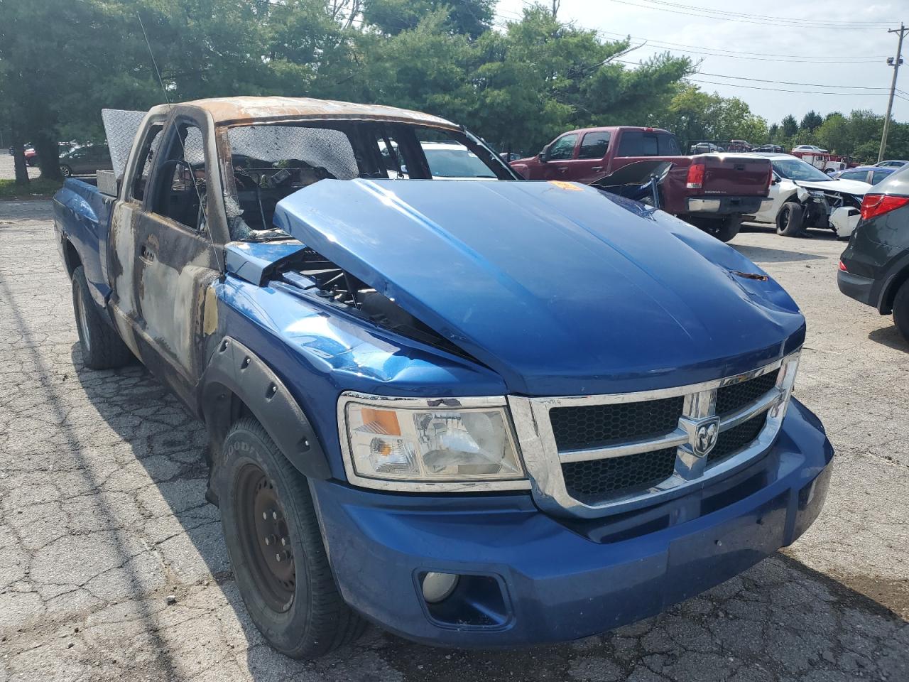 2011 Dodge Dakota St VIN: 1D7RE2BK2BS566239 Lot: 65403084