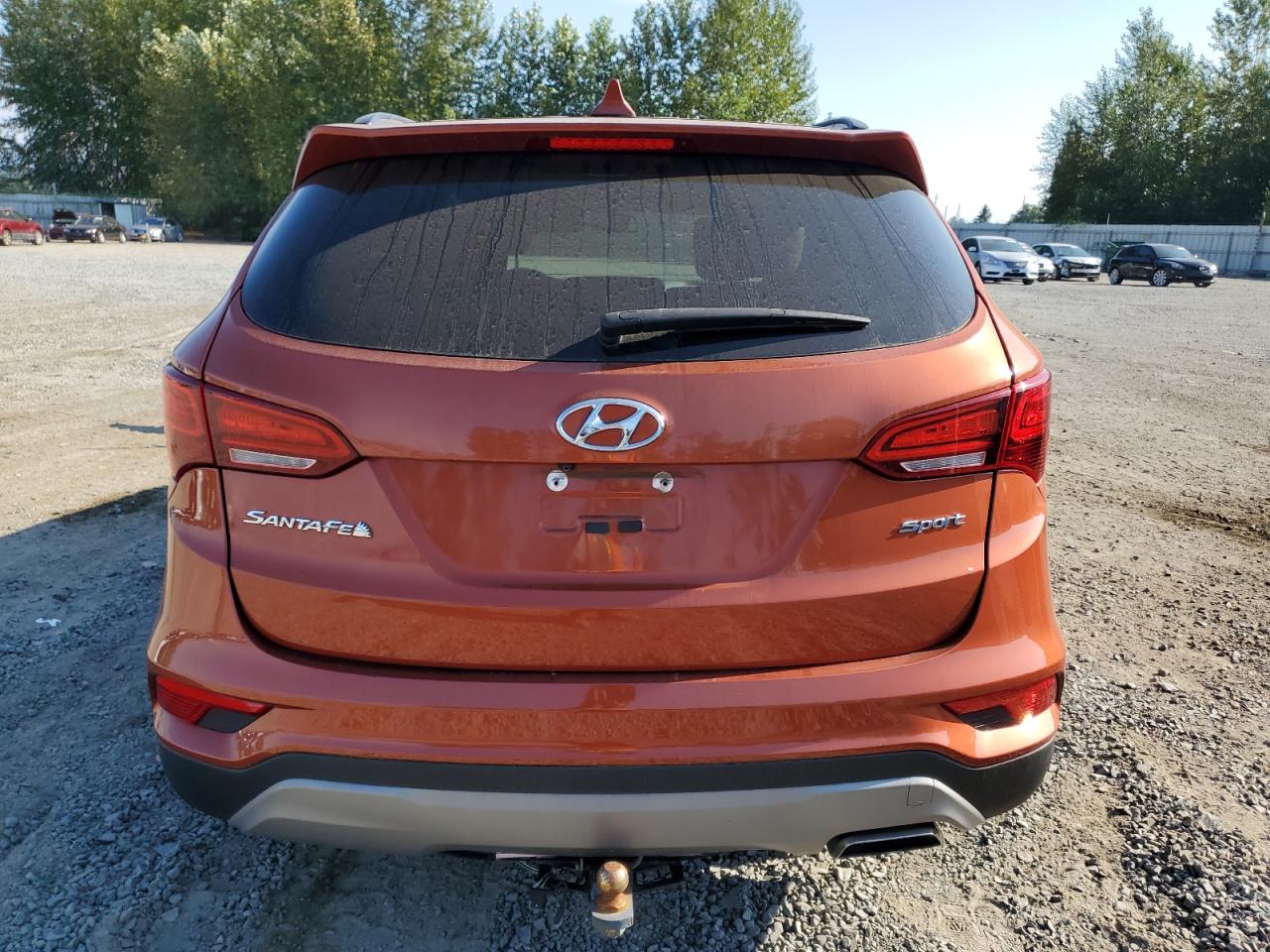 2017 Hyundai Santa Fe Sport VIN: 5XYZU3LB9HG436796 Lot: 67864444