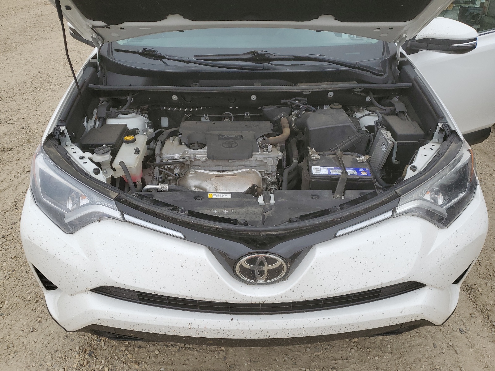 2T3BFREVXHW646914 2017 Toyota Rav4 Le