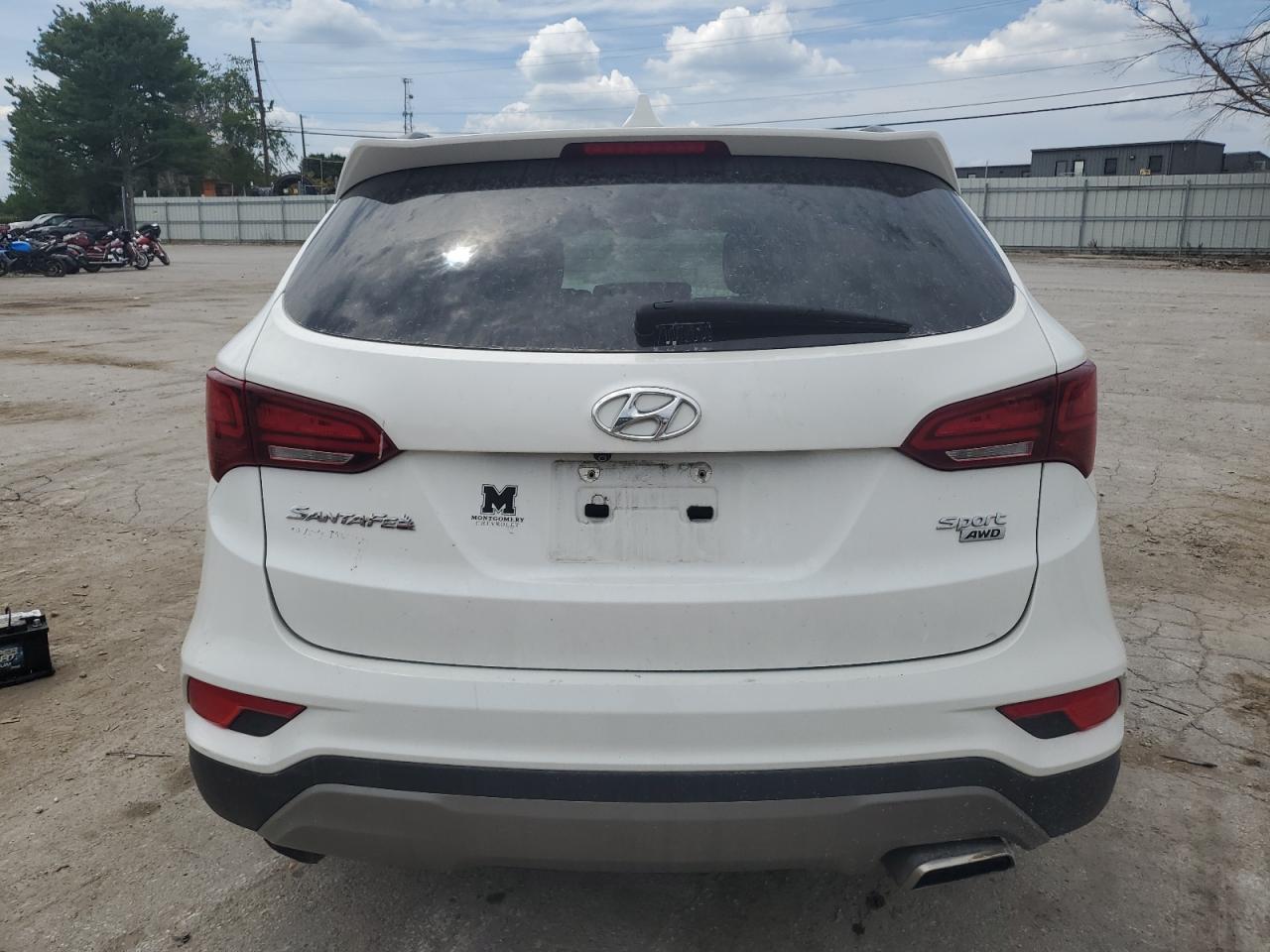 2017 Hyundai Santa Fe Sport VIN: 5NMZUDLB9HH036975 Lot: 67775504