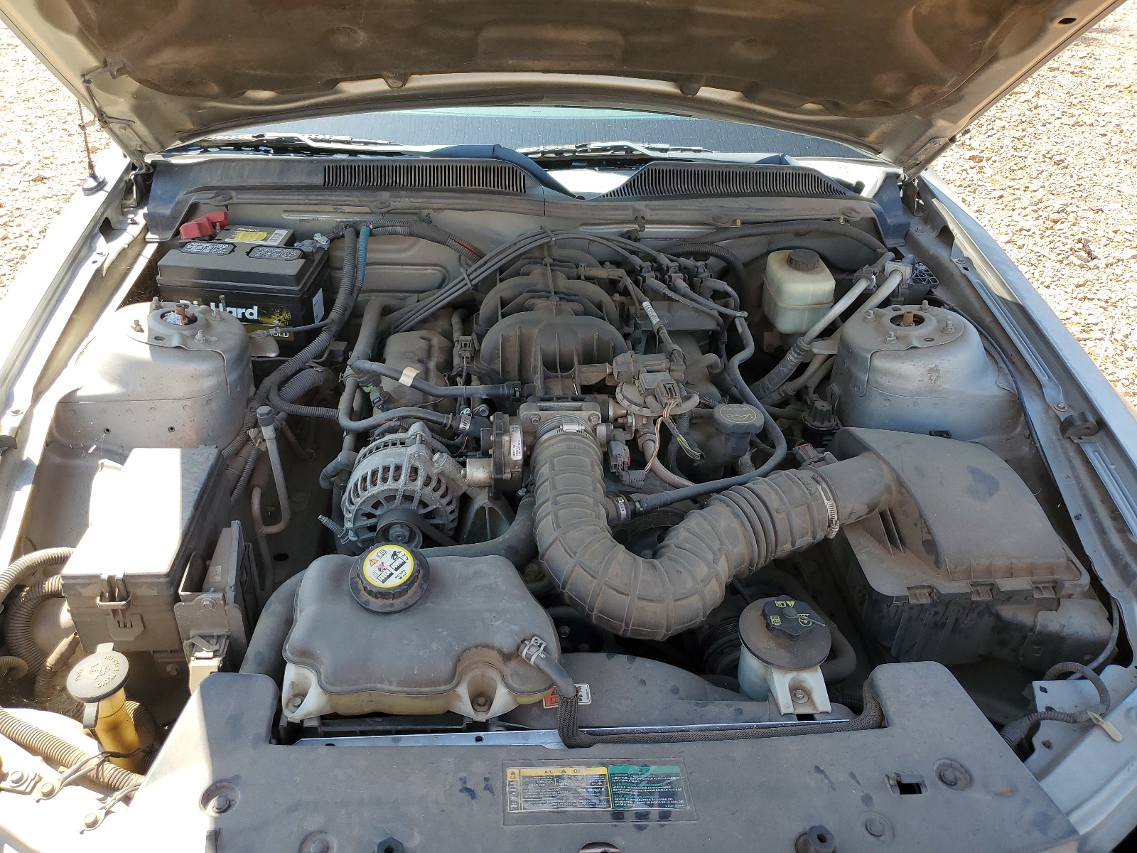 1ZVHT80N385101355 2008 Ford Mustang