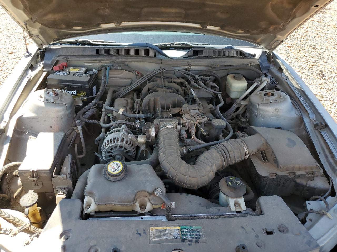 2008 Ford Mustang VIN: 1ZVHT80N385101355 Lot: 67931594