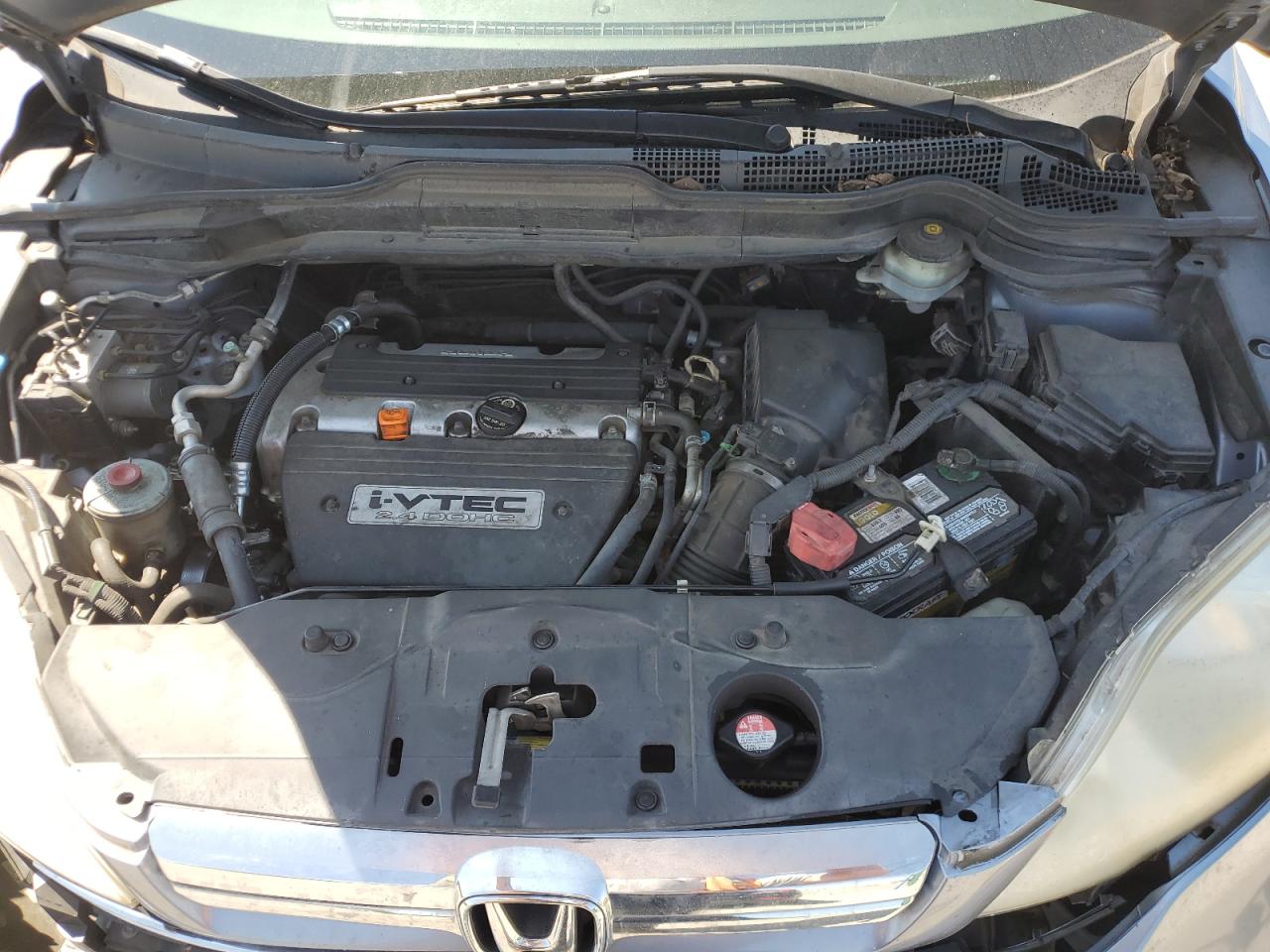 2008 Honda Cr-V Exl VIN: JHLRE38798C012981 Lot: 67866464