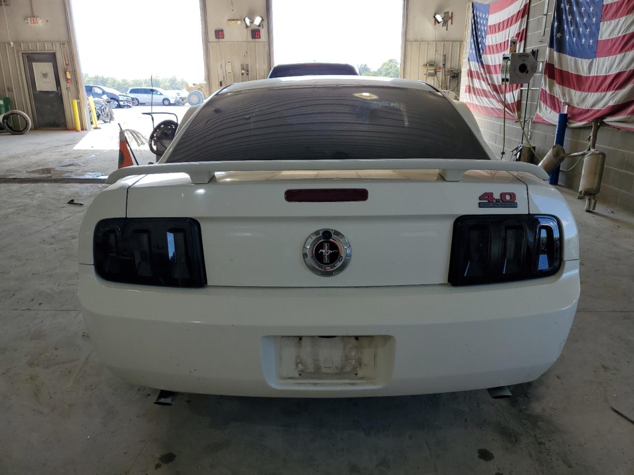 2005 Ford Mustang VIN: 1ZVFT80N855128179 Lot: 67801584