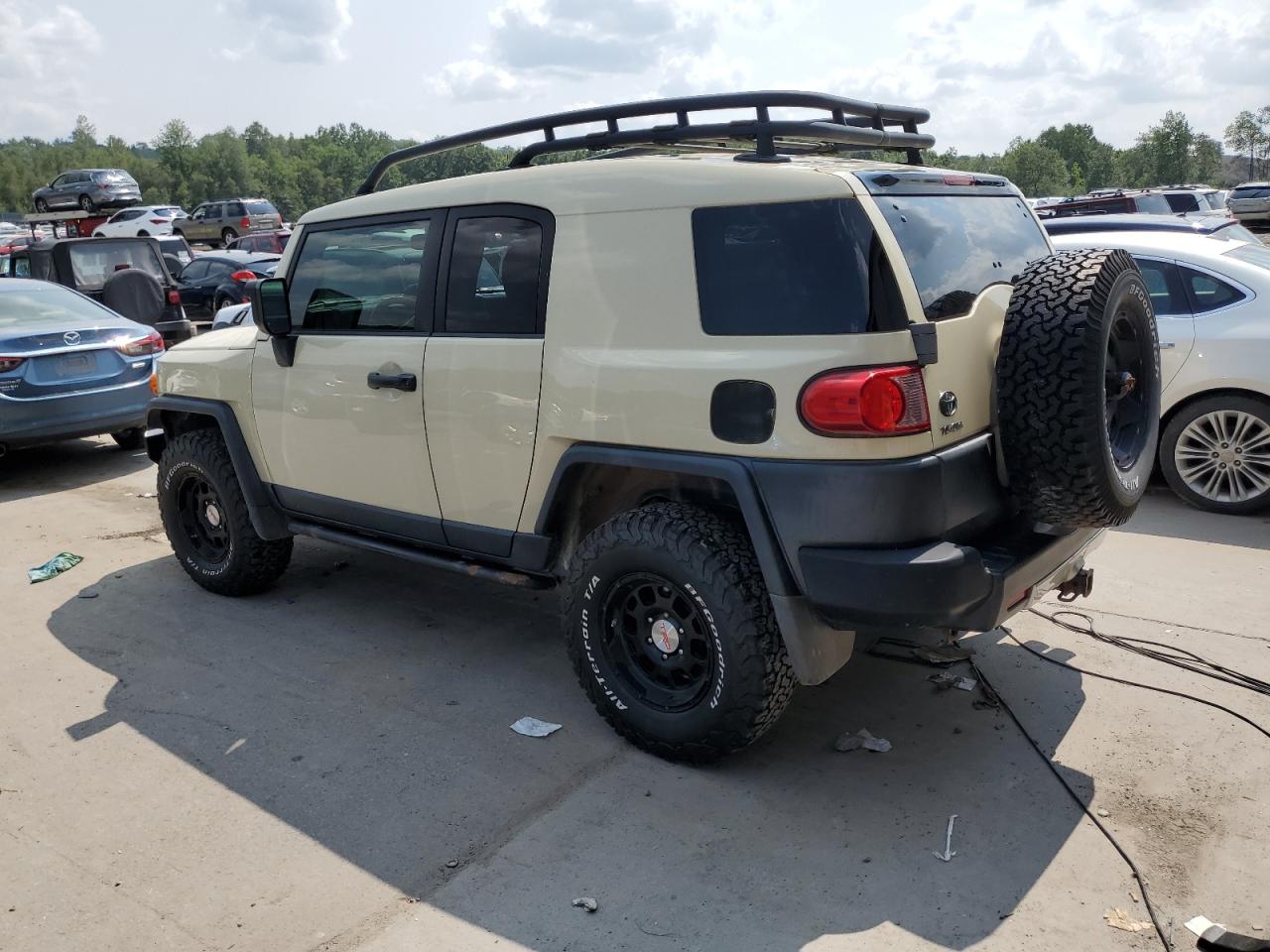 2010 Toyota Fj Cruiser VIN: JTEBU4BF9AK071141 Lot: 67696654
