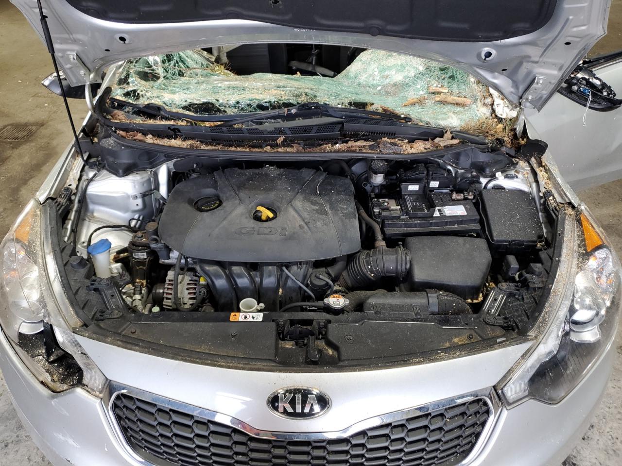 2015 Kia Forte Ex VIN: KNAFX5A89F5293557 Lot: 66172664