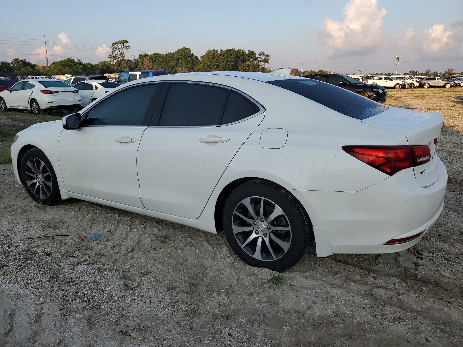 19UUB1F39GA006128 2016 Acura Tlx