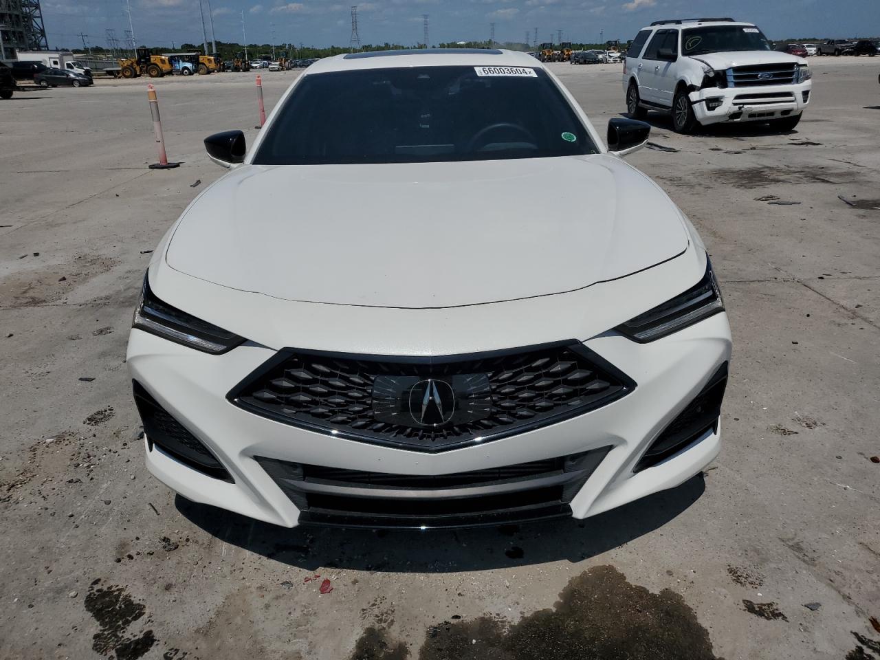 2021 Acura Tlx Tech A VIN: 19UUB5F50MA012873 Lot: 66003604