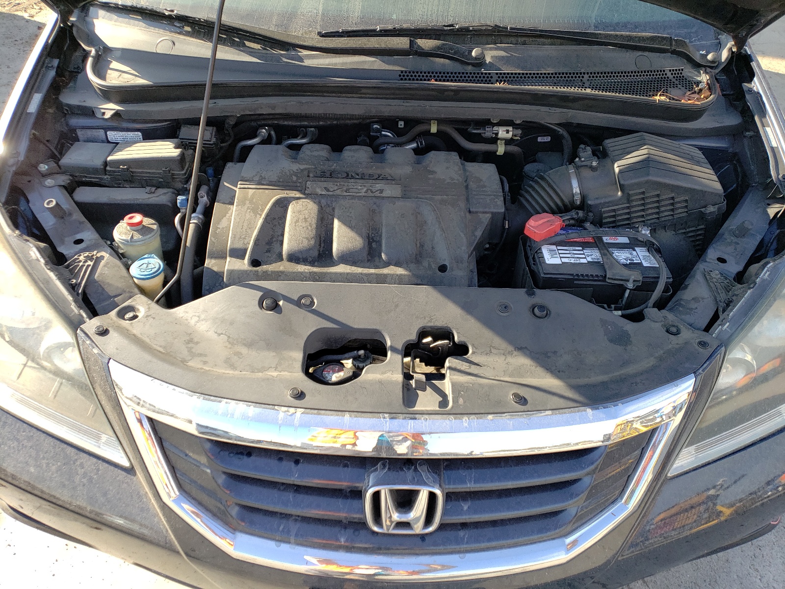 5FNRL3H73AB047768 2010 Honda Odyssey Exl