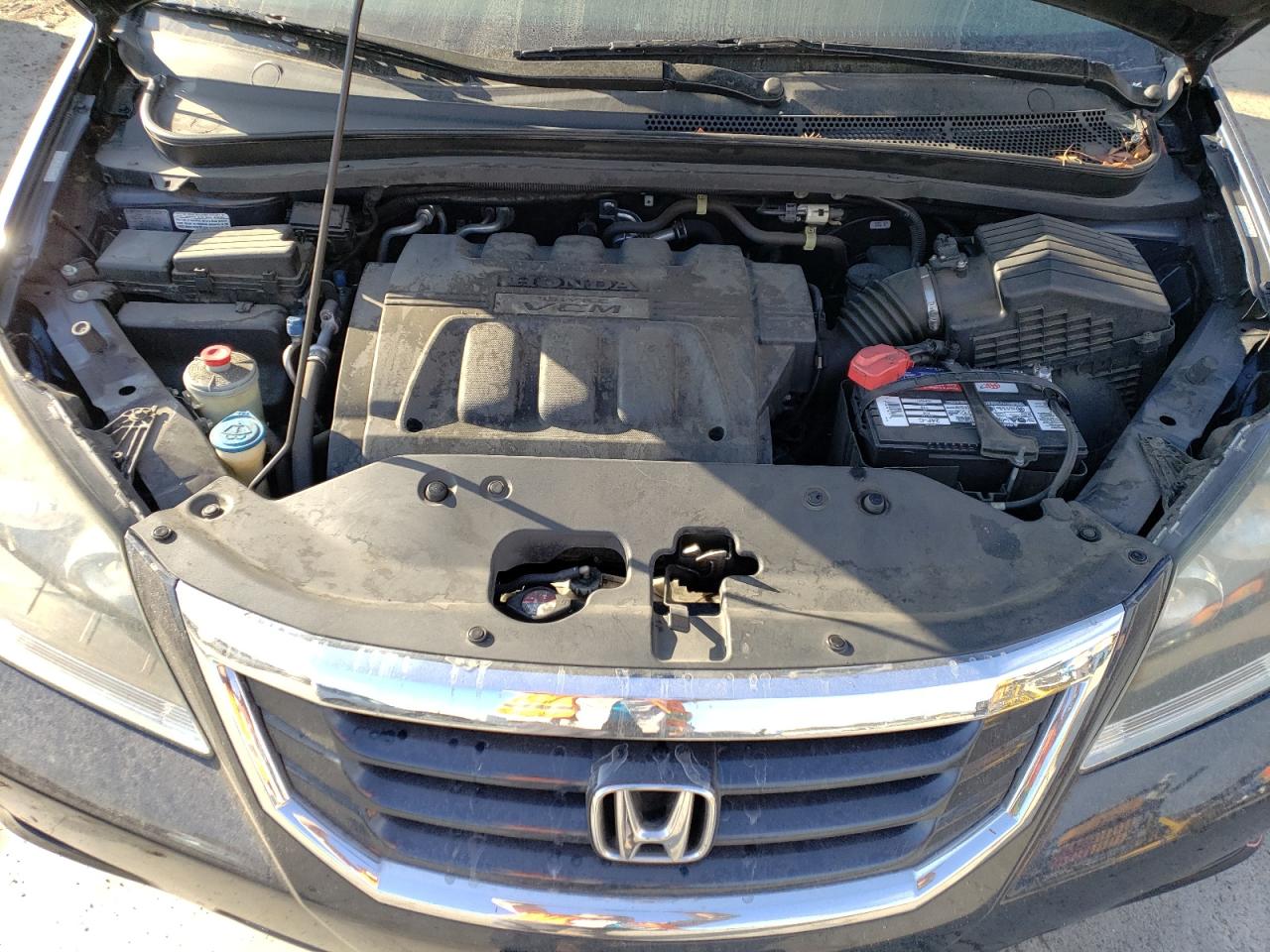 2010 Honda Odyssey Exl VIN: 5FNRL3H73AB047768 Lot: 66149054