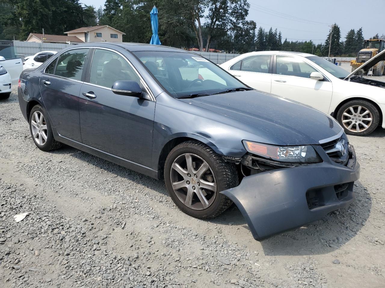 2004 Acura Tsx VIN: JH4CL96984C036567 Lot: 66866894