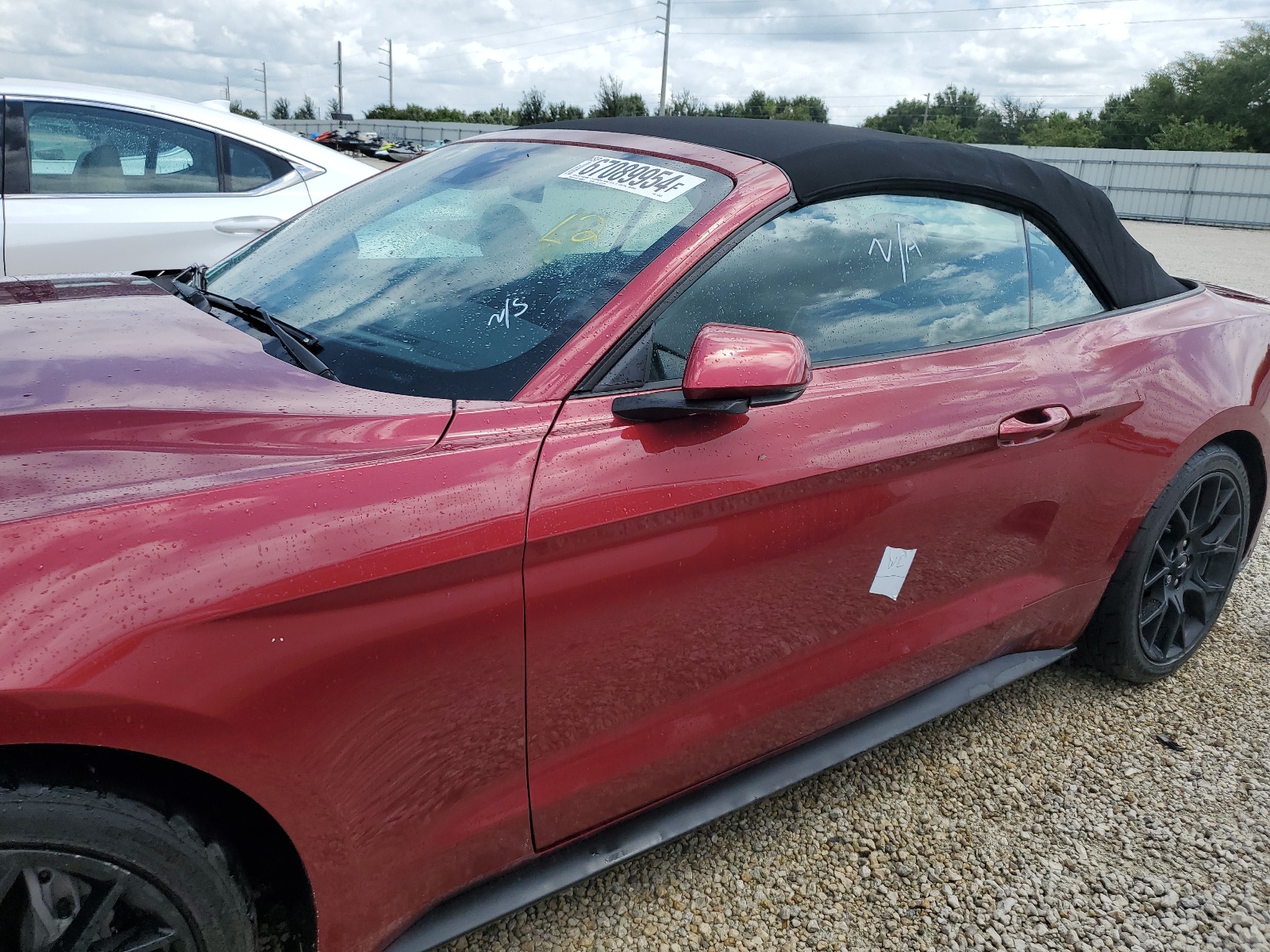 1FATP8UHXK5146523 2019 Ford Mustang