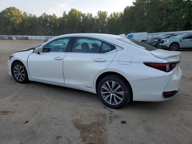  LEXUS ES300 2021 Белы