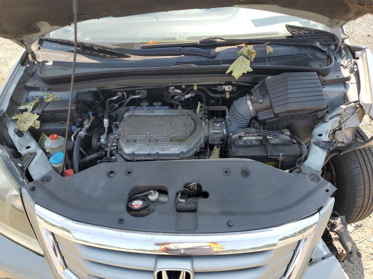 2010 Honda Odyssey Exl VIN: 5FNRL3H70AB078251 Lot: 65124854