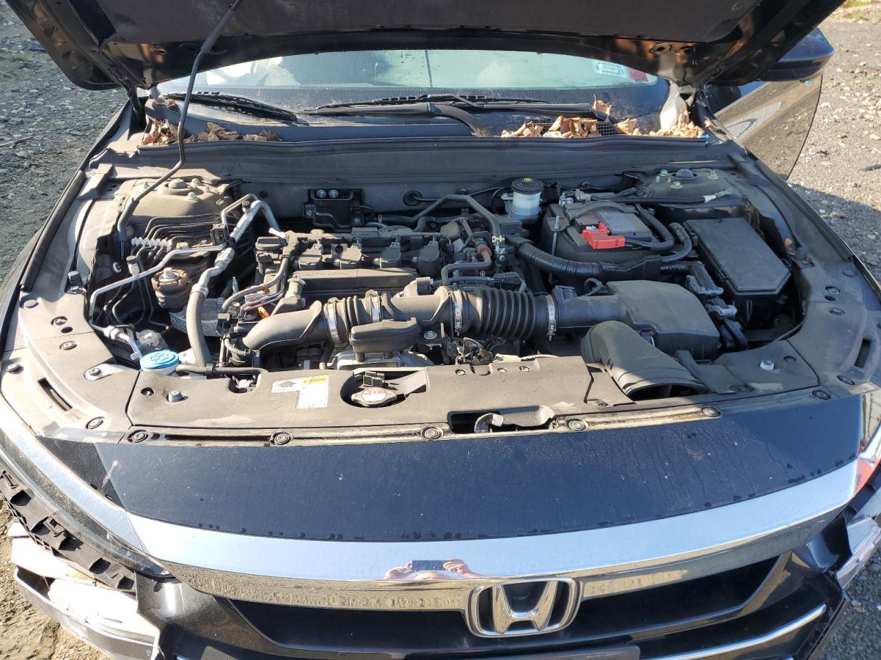 1HGCV1F10MA018858 2021 Honda Accord Lx