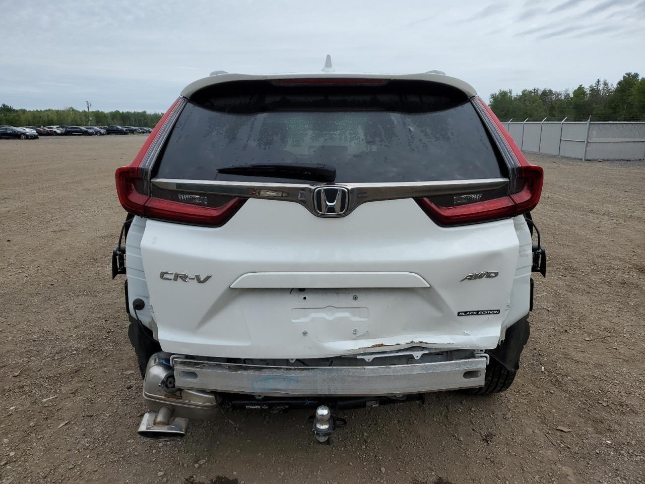 2020 Honda Cr-V Touring VIN: 2HKRW2H95LH204918 Lot: 66183624