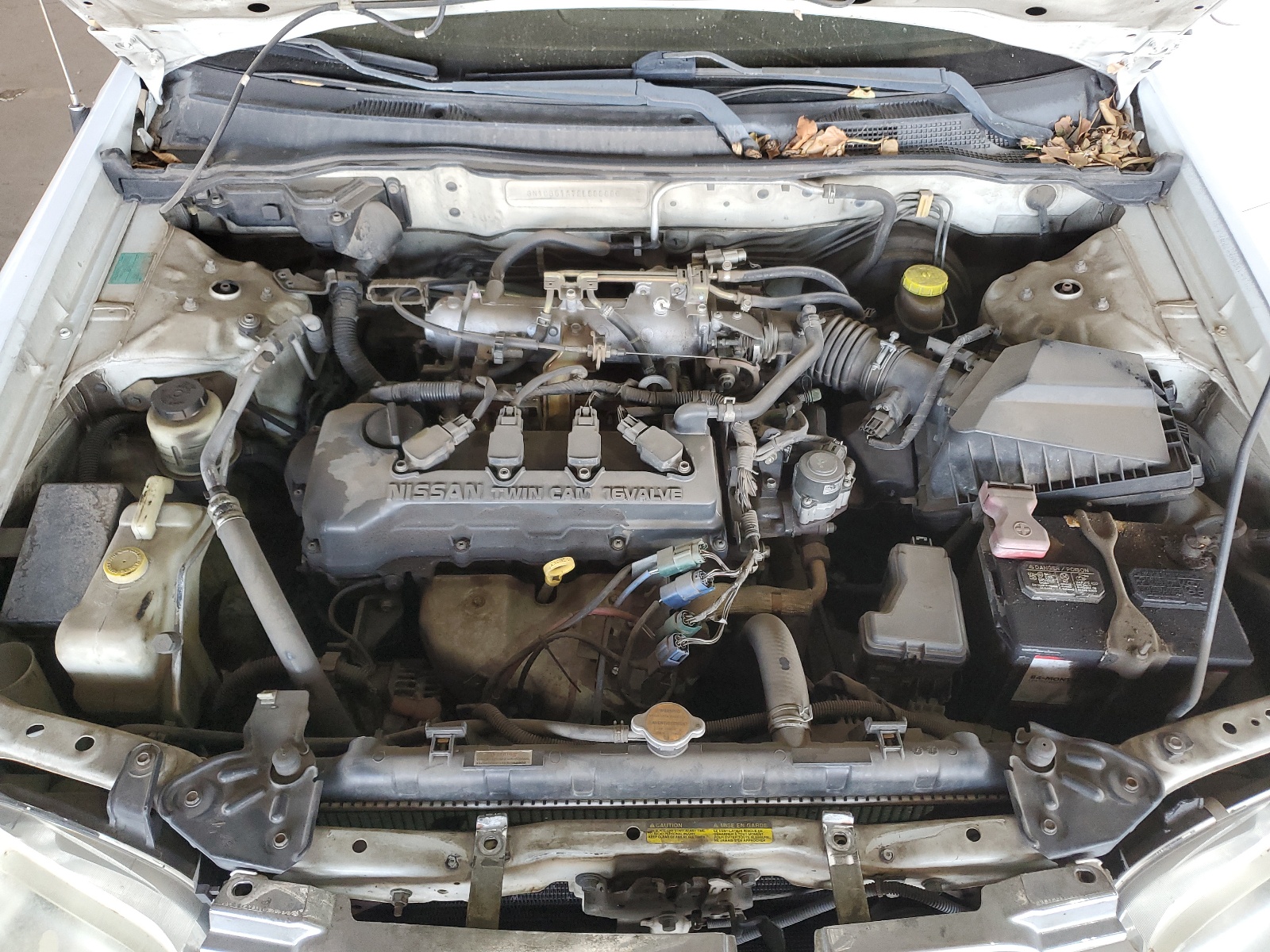3N1CB51A72L555886 2002 Nissan Sentra Gxe