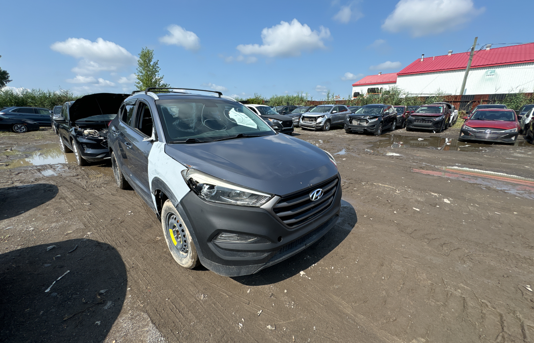 2016 Hyundai Tucson Limited vin: KM8J3CA47GU081365