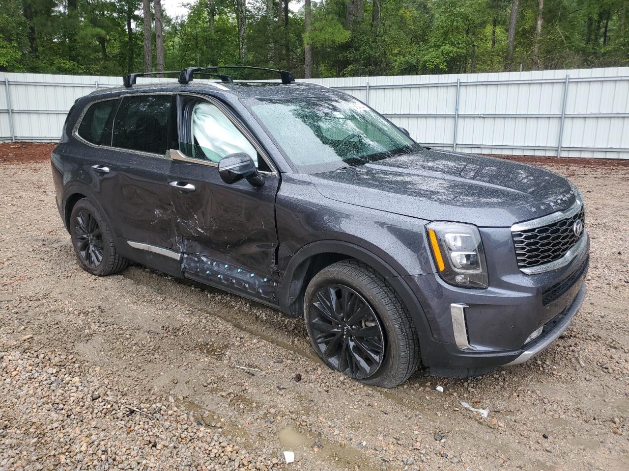 2020 Kia Telluride Sx VIN: 5XYP5DHC0LG031401 Lot: 65887724