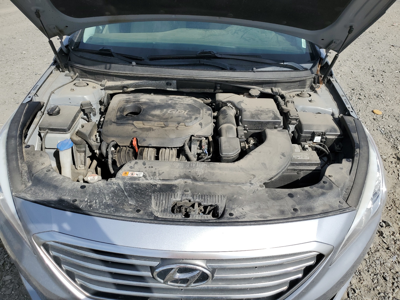 5NPE24AF2GH393149 2016 Hyundai Sonata Se