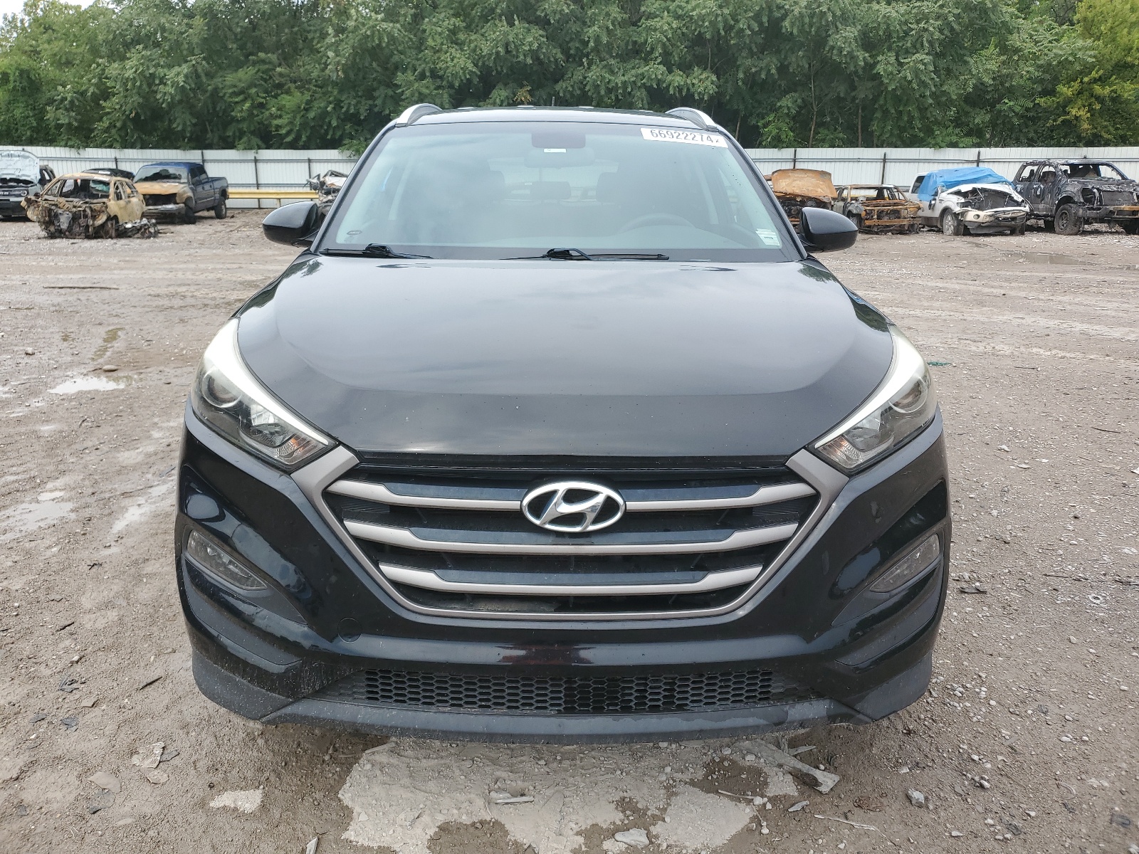 2016 Hyundai Tucson Limited vin: KM8J33A46GU204170