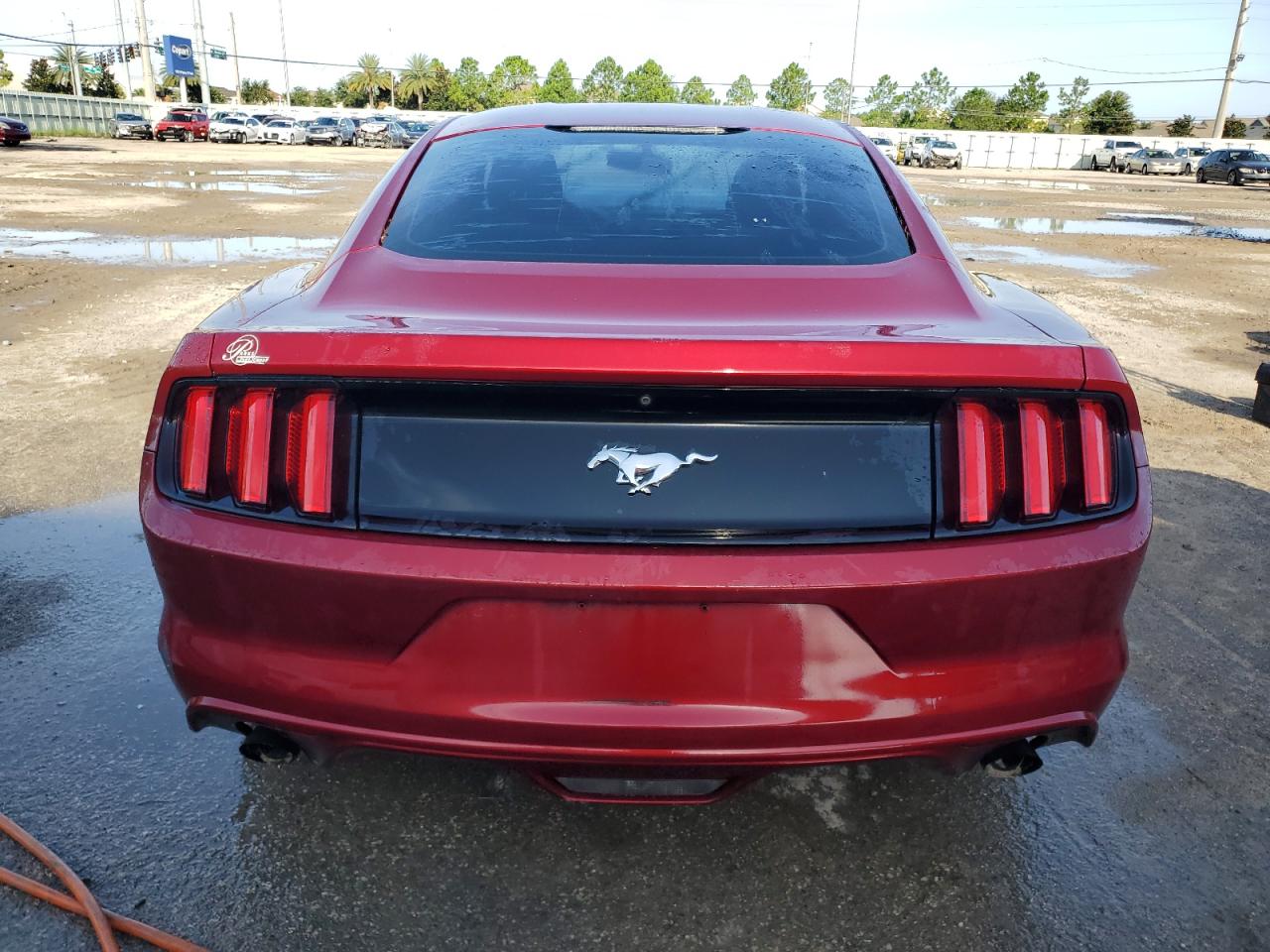 2017 Ford Mustang VIN: 1FA6P8TH4H5332825 Lot: 65710544