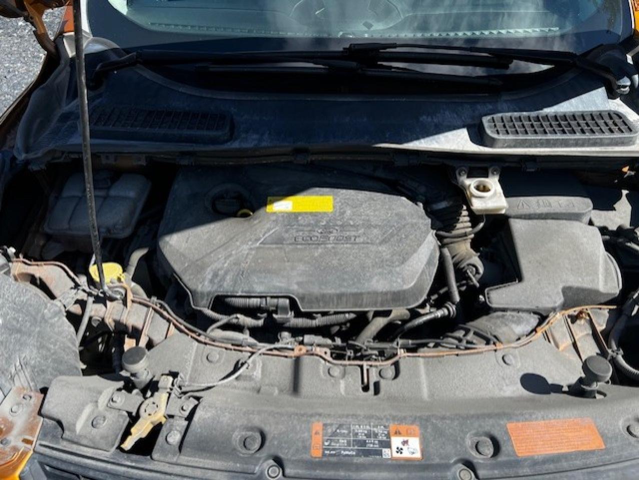 2016 Ford Escape Se VIN: 1FMCU9GX4GUA12773 Lot: 66907134