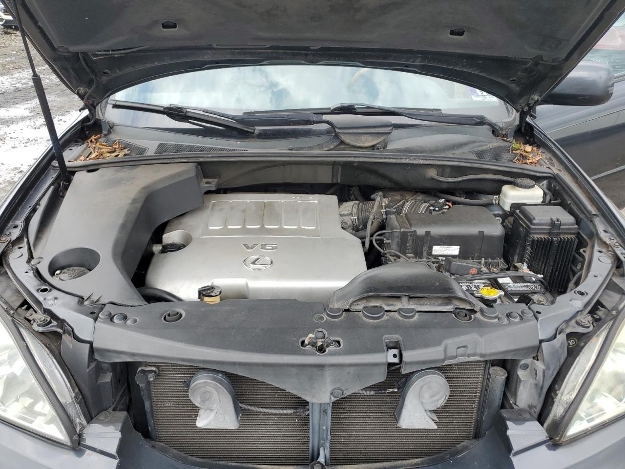 2009 Lexus Rx 350 VIN: 2T2GK31U39C057383 Lot: 66859334