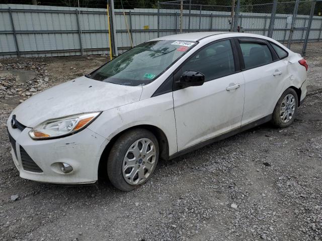  FORD FOCUS 2012 Белы