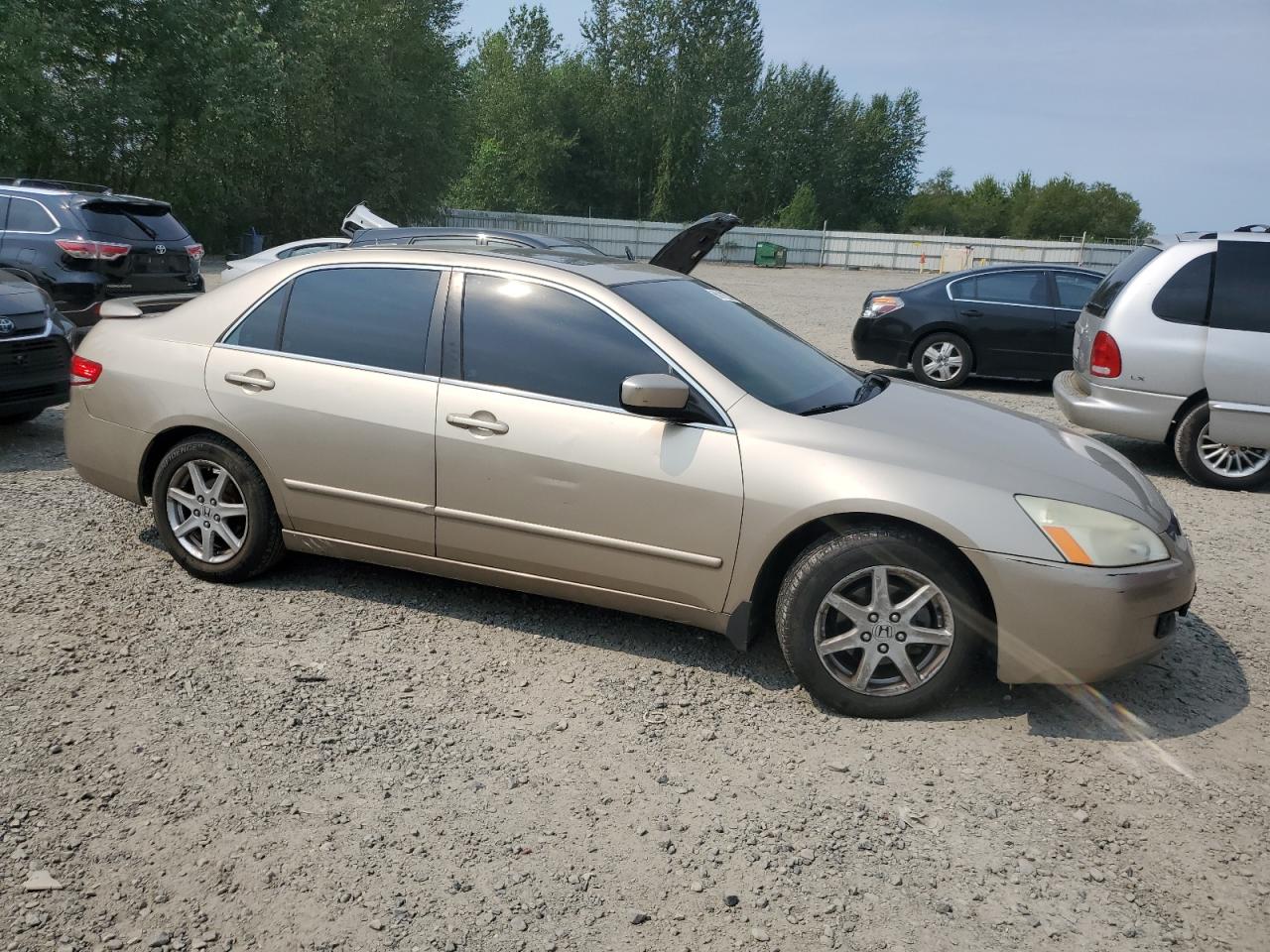 2004 Honda Accord Ex VIN: 1HGCM66594A091049 Lot: 66111524